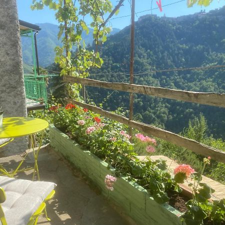A Ca' Da Zia Villa Corte  Luaran gambar