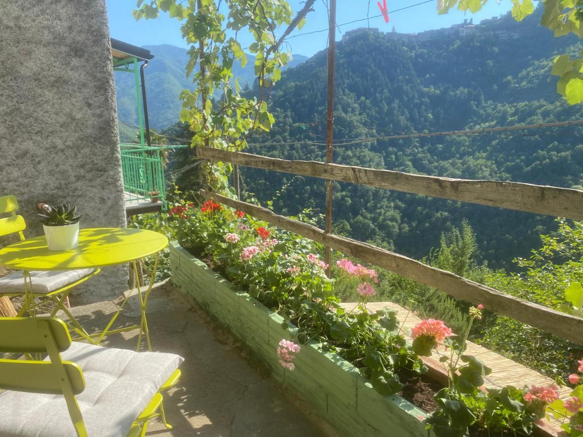 A Ca' Da Zia Villa Corte  Luaran gambar
